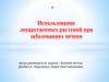Использование лекарственных растений при заболеваниях печени