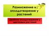 Размножение и оплодотворение у растений. Двойное оплодотворение у цветковых растений