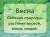 Весна. Явления природы, растения весной, жизнь людей