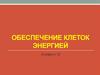 Обеспечение клеток энергией