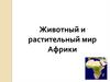 Животный и растительный мир Африки