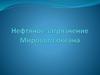Нефтяное загрязнение Мирового океана