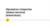 Организм — открытая живая система (животные)