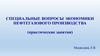 Специальные вопросы экономики нефтегазового производства (практические занятия)
