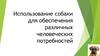 Использование собаки для обеспечения различных человеческих потребностей
