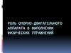 Роль опорно-двигательного аппарата в выполнении физических упражнений